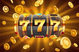 876bed
