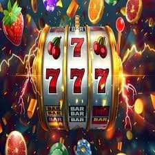 876bed